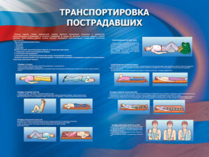 Стенд “Транспортировка пострадавших”